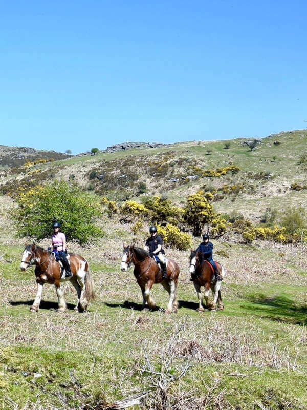 Activités touristiques en Croatie 11 croatie, terre équestre