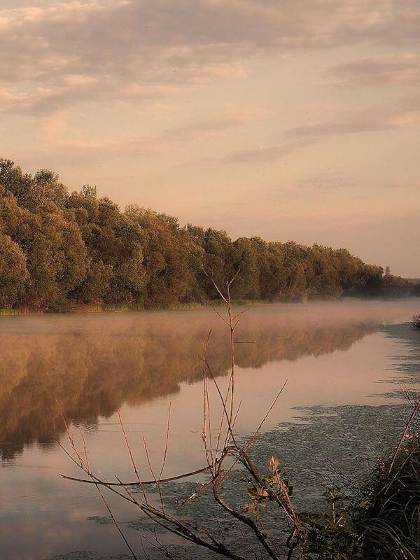 Lonjsko Polje 4 Lonjsko Polje, rivière