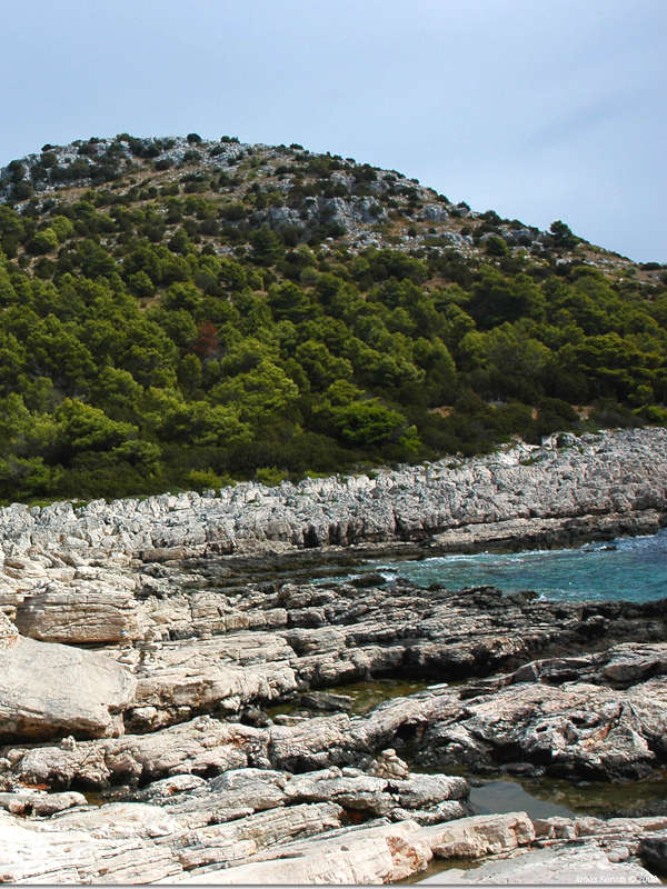 Parc naturel de Telašćica 4 rochers en bordure de rivage
